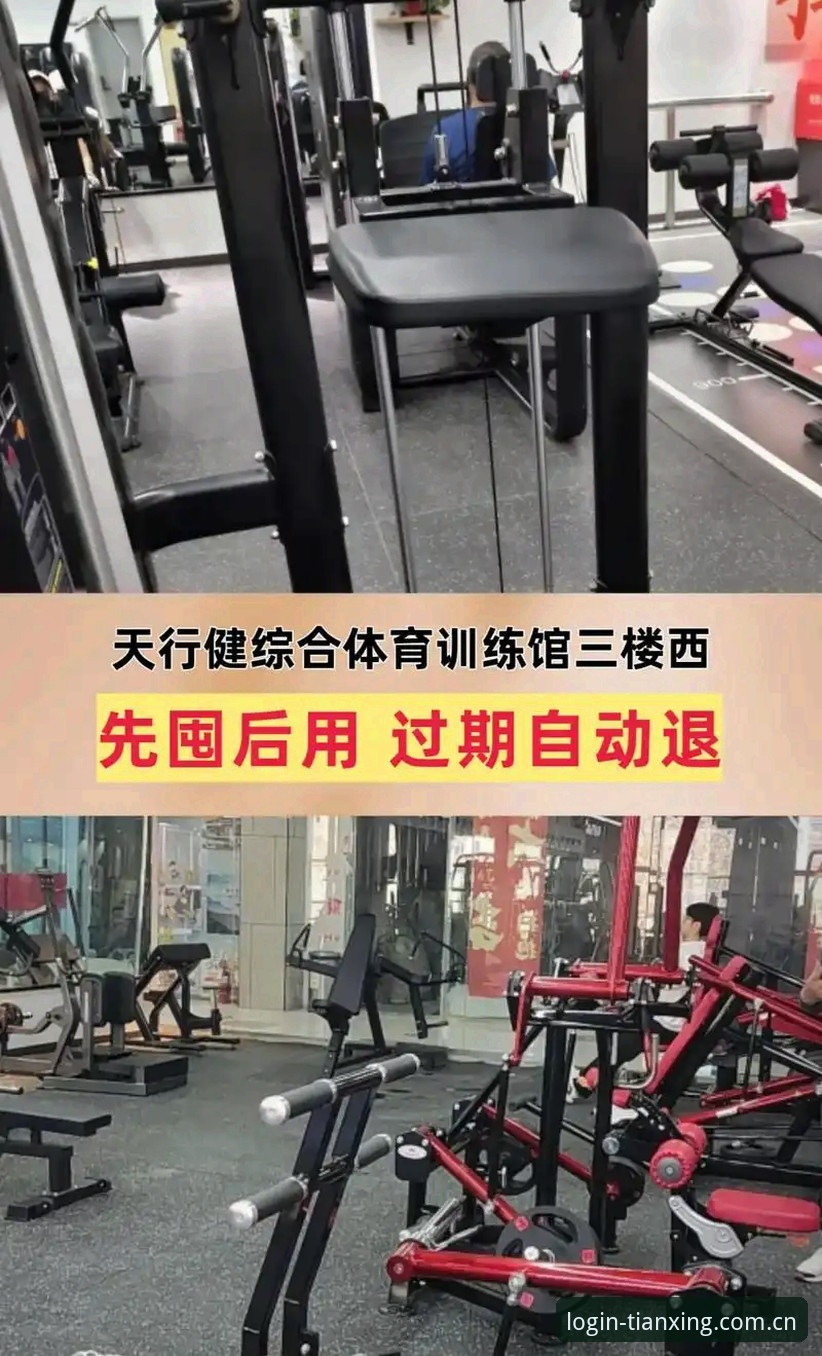 天行体育平台足球数据深度分析：从登录难题到赛事信息获取的完整链路